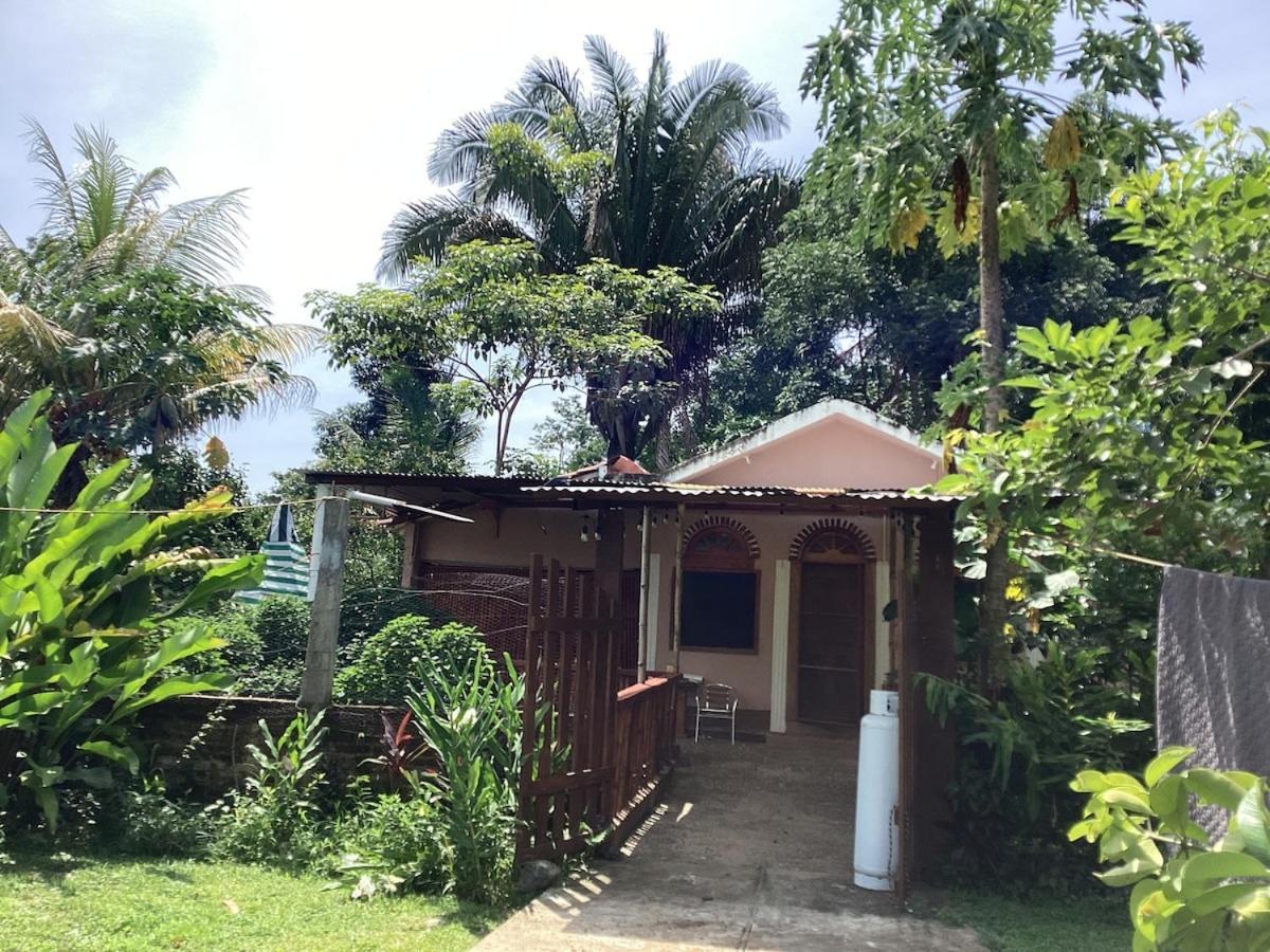 Exotic Flower Cabin2 Pool Agua Bendita المظهر الخارجي الصورة